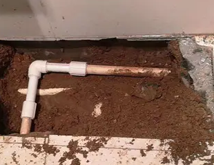 漳县测漏水哪家好