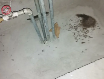 漳县卫生间测漏水价格明细