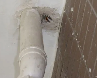 漳县漏水检测哪家好